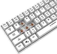 Rampage KB-RX63 B-ATOM Beyaz Bluetooth RGB Backlight Brown Switch Mekanik Q 63 Tuşlu Mini Gaming Oyuncu Klavyesi