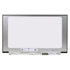 B173HAN04.2 17.3 Slim FHD IPS Lcd Ekran, Panel / 40pin